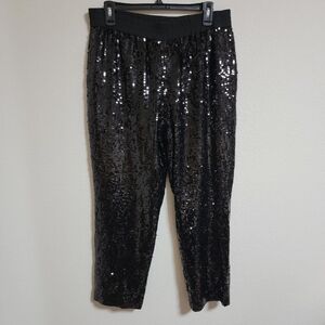 J Crew Black Lined Sequin Pants